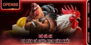Đá gà 4K