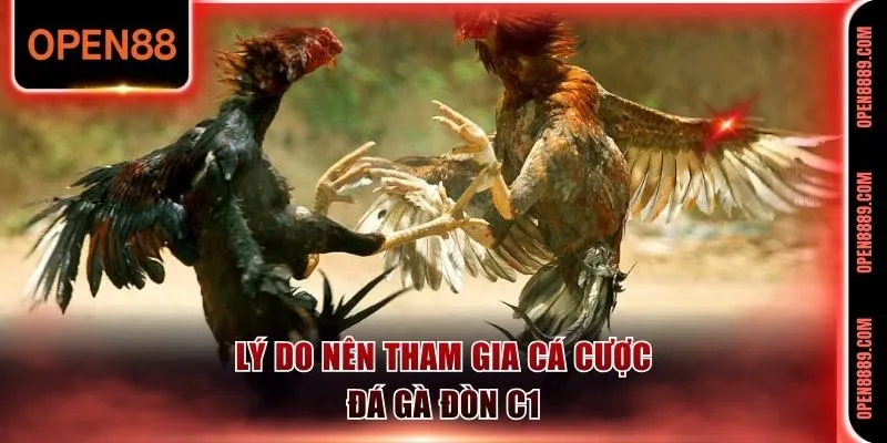 Nhà cái mang đến nhiều kèo cược hấp dẫn tăng cơ hội thắng