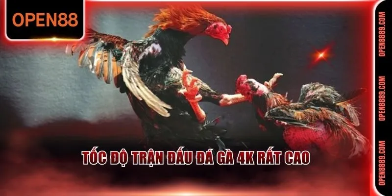 Tốc độ của mỗi trận đấu cực nhanh chóng